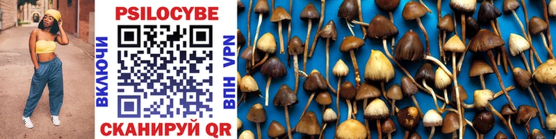 Псилоцибиновые грибы Psilocybine cubensis  кракен онион  Заринск 